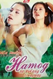 Hamog sa Bukang Liwayway (2004)