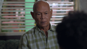 Incognito: 1×114